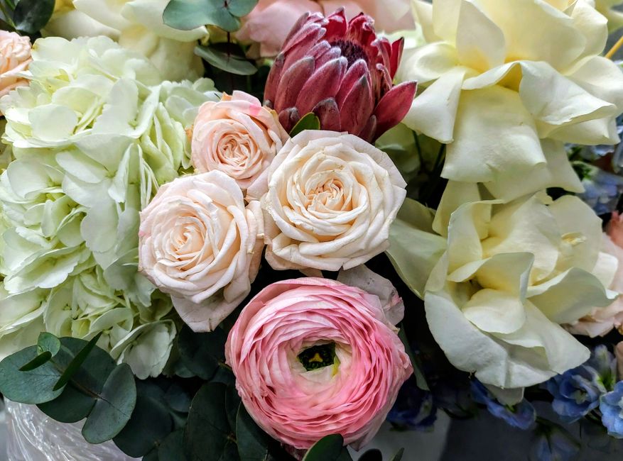 A detailed floral arrangement featuring soft pink and cream roses, complemented by white hydrangeas and large white calla lilies, arranged in a bouquet style. The roses have delicate, layered petals w