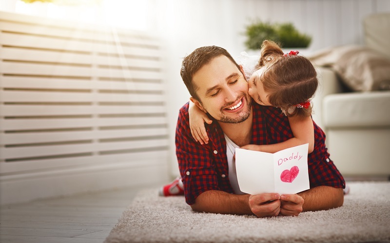 Tulips tulips  / about tulips